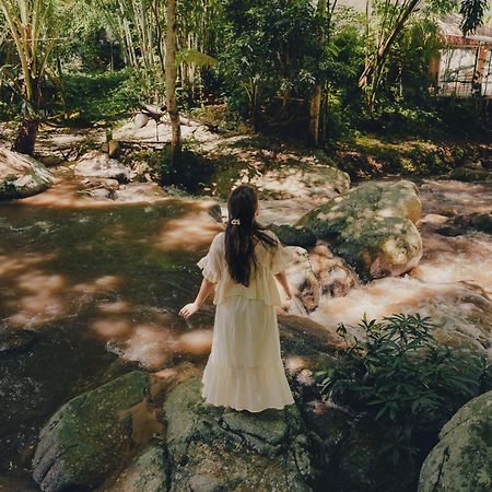 เดอะริเวอร์ แม่กำปอง The River Maekampong Chiang Mai Ban Pok Nai 외부 사진