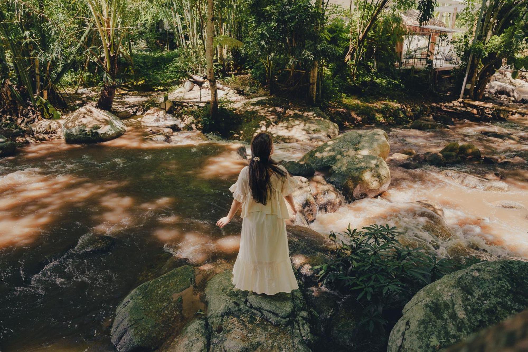 เดอะริเวอร์ แม่กำปอง The River Maekampong Chiang Mai Ban Pok Nai 외부 사진